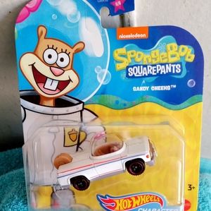 Sandy Cheeks hot wheel car